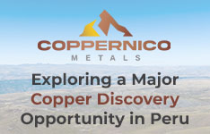 Learn More about Coppernico Metals Inc.