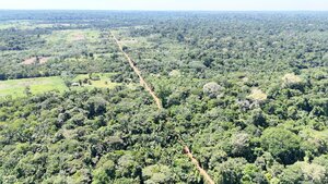 Brazil's Gold Reset and a New Paleochannel Bet