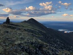 Silver Co. Achieves Remarkable Results