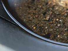 Mining Co. Uncovers Excellent Resource Expansion Potential in Southeastern Idaho