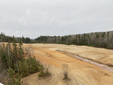 A Past Producer Cleanup with Near-Term Cash Flow and District-Scale Discovery Potential