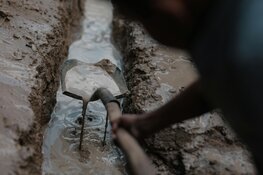 12-Kilometer Gold Corridor Emerges Along Major Deformation Zone