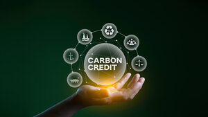 Is the Carbon Credit Market Dead?