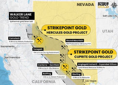 Gold Co. Acquires 2nd Project in Nevada's Walker Lane