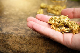 Gold Co. Releases Quarterly Earnings During Project's Pivotal Year